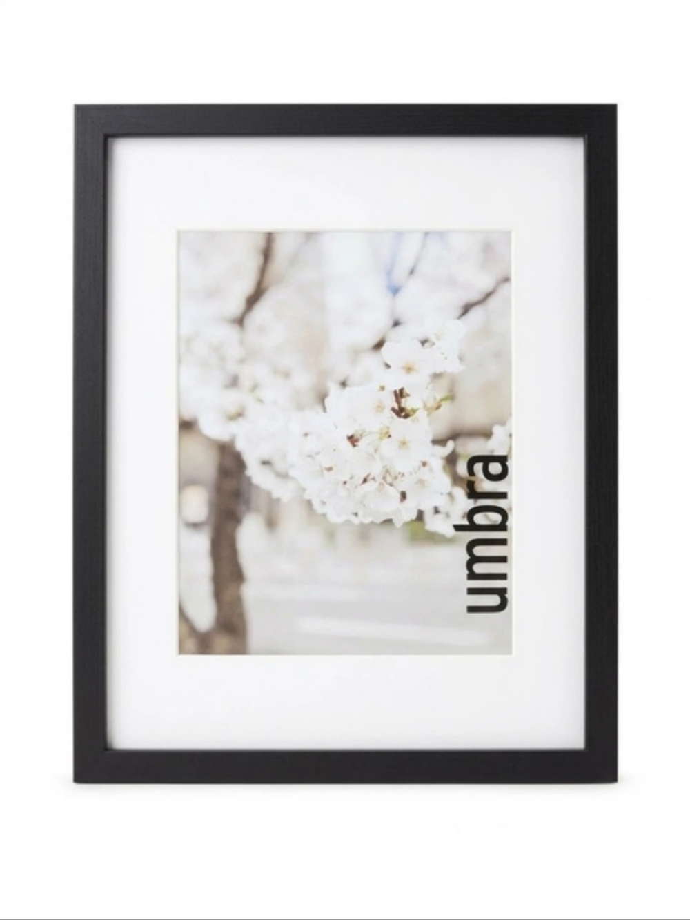 Umbra Matte Black Photo Frame 11.75 x 14.75" with Matting for 8 x 10" Picture